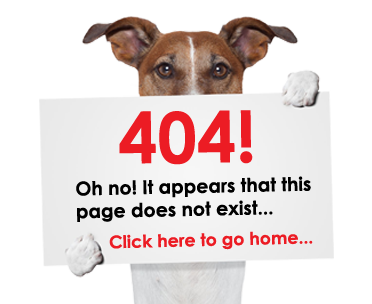 epic-404-dog