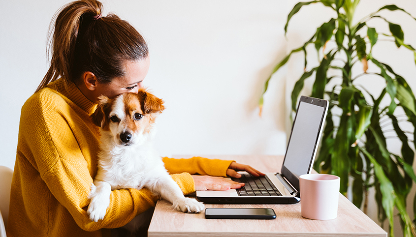 Home Office Desk